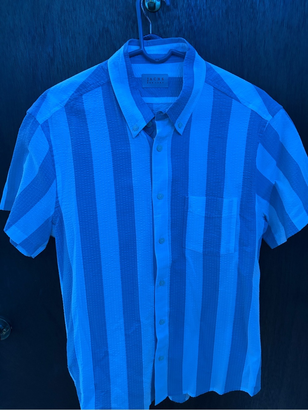 Blue Striped Short-Sleeve Button-Up Shirt Zach’s New York worn once